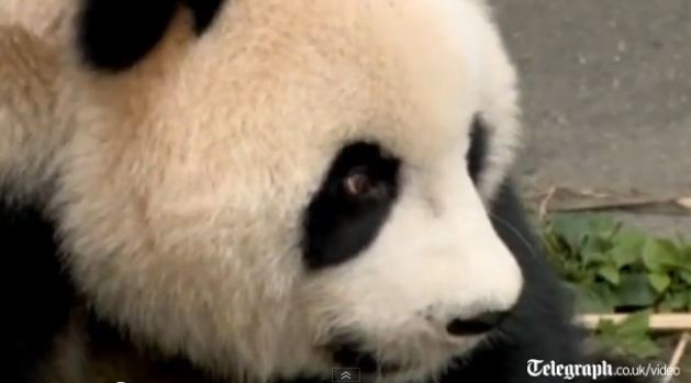 Τα πάντα είναι εφικτά