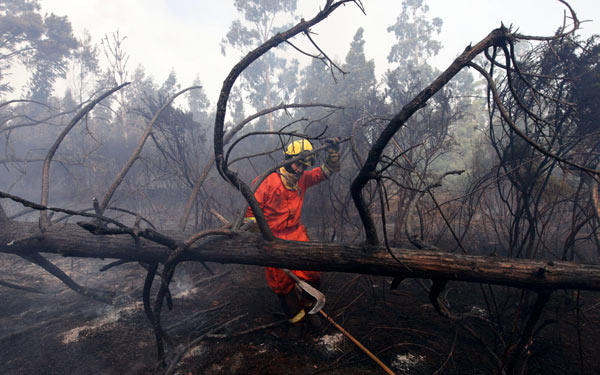 Μαίνονται 115 εστίες πυρκαγιών