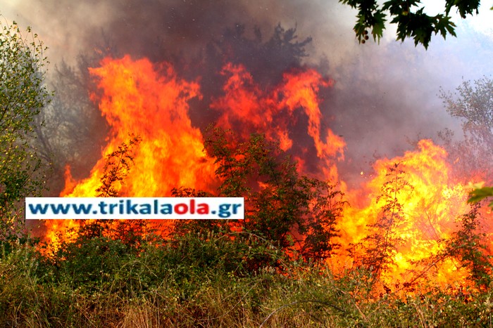 Τώρα-Αναζωπύρωση στην Καλαμπάκα