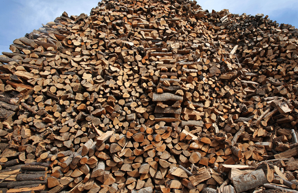 Η κρίση θέλει…καυσόξυλα