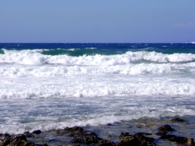 Επιστροφή με μελτέμια