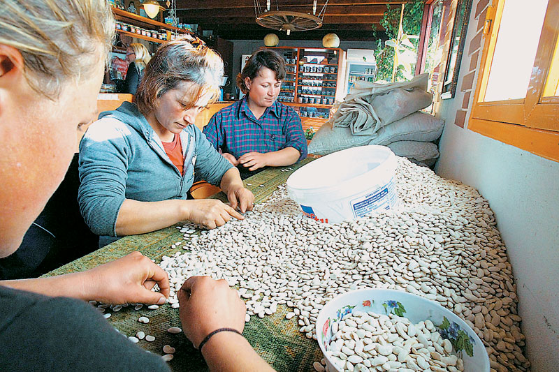 Ο ήλιος έκαψε τους “γίγαντες”