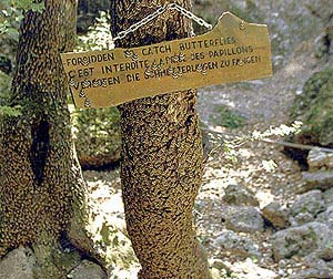 Γλίτωσε η Κοιλάδα των Πεταλούδων