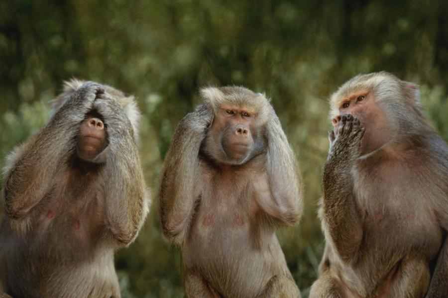 Σύνταξη και σε νομικά πρόσωπα!