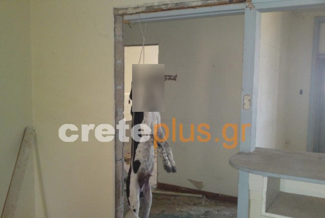 Κτήνη κρέμασαν σκυλάκι