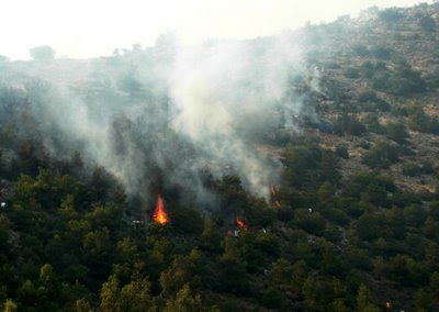 Τώρα-Πυρκαγιά στη Λακωνία