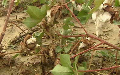 Δίχως τέλος τα προβλήματα