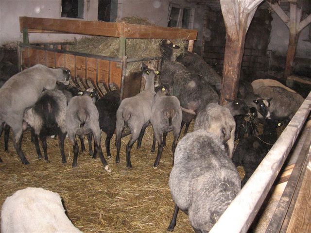 Είχαν διαφορές και τον μαχαίρωσε