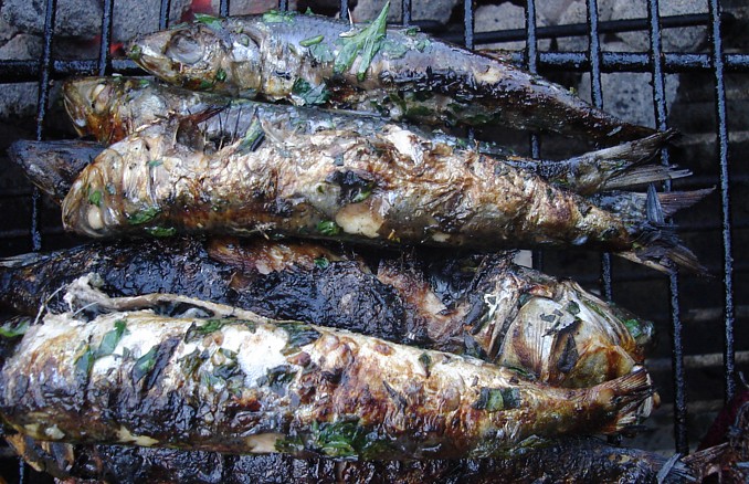 Η σαρδέλα γιορτάζει…