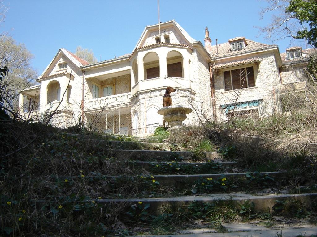 Πωλείται το Τατόι;