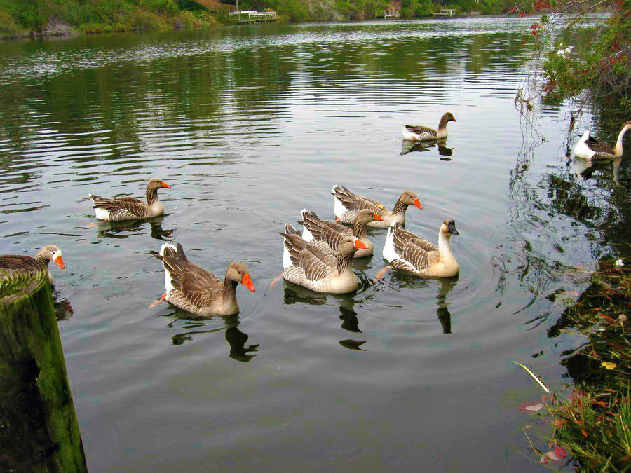 Καστοριά:Με διάθεση φθινοπωρινή