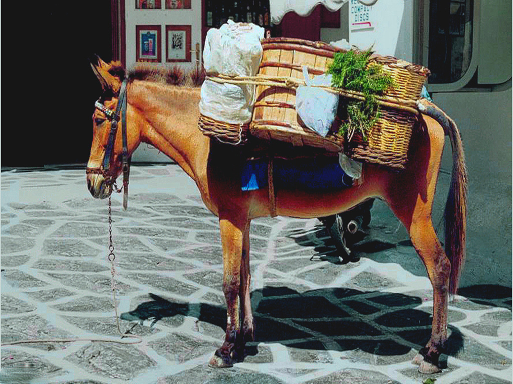 Βγάζουν στο “σφυρί” και μουλάρια