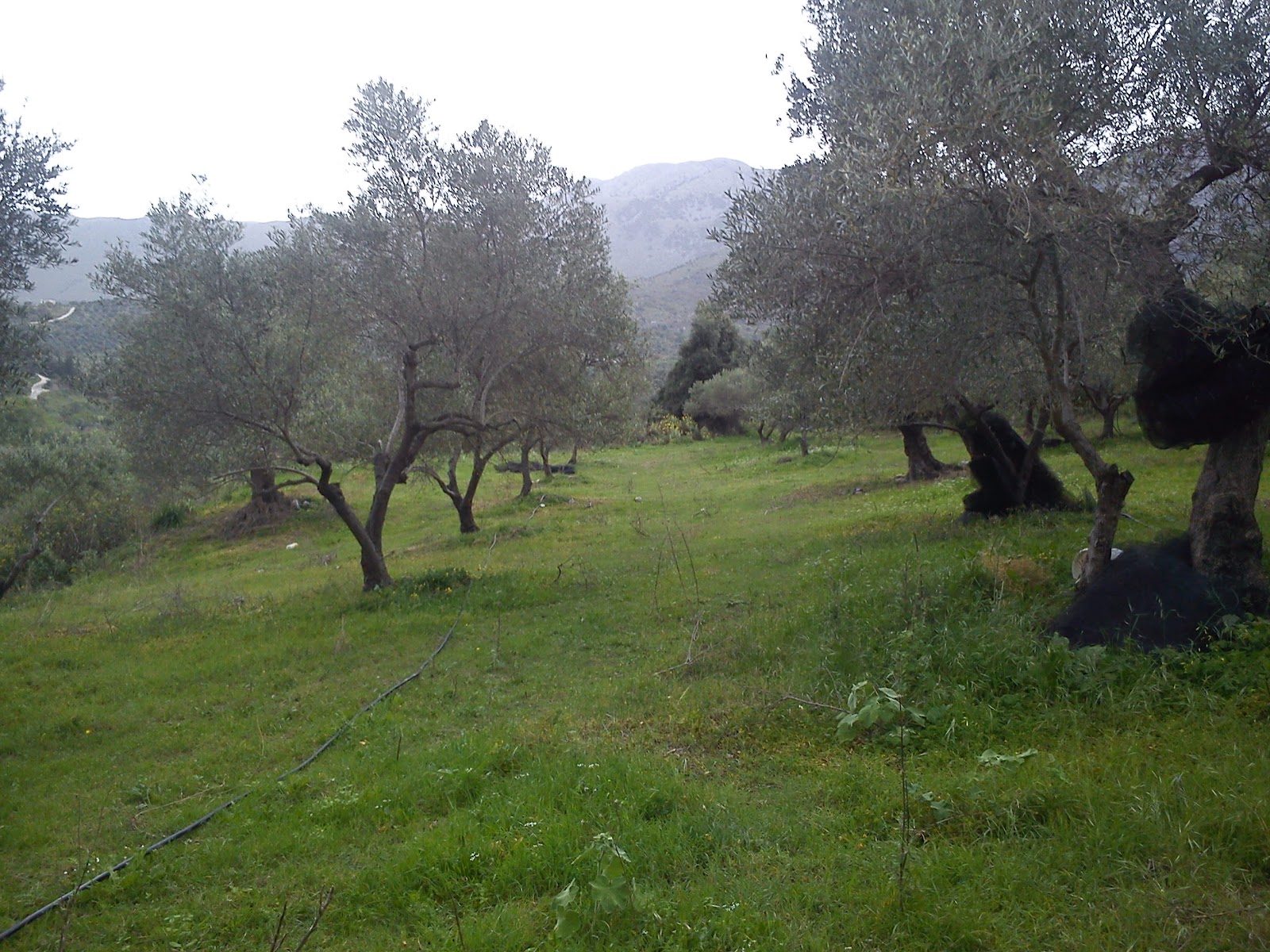 Τον σκότωσαν με ένα κιλό δυναμίτη