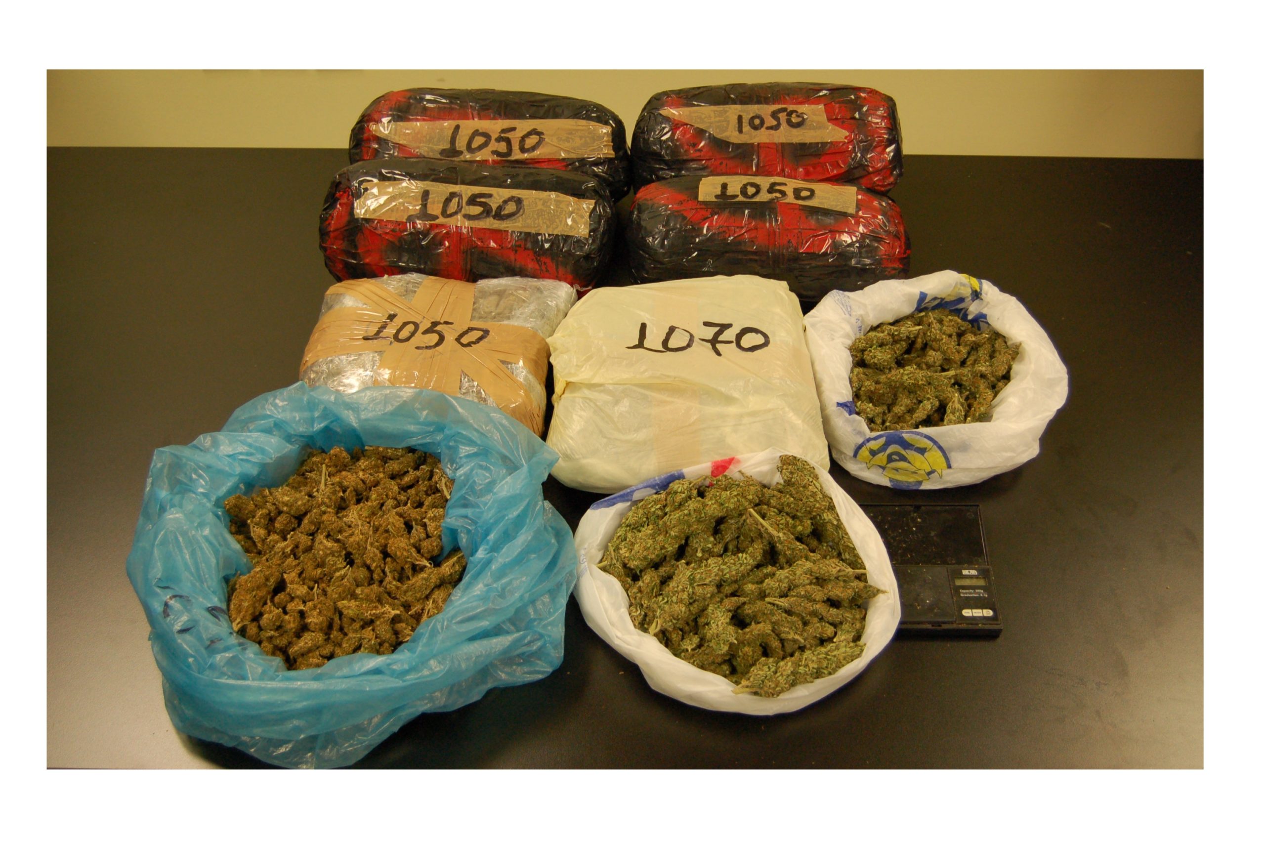 Ο λύκος κι αν εγέρασε…