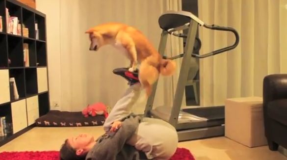 Elee μου, εσύ superstar!