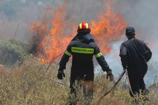 Τώρα-Πυρκαγιά στην Πρέβεζα