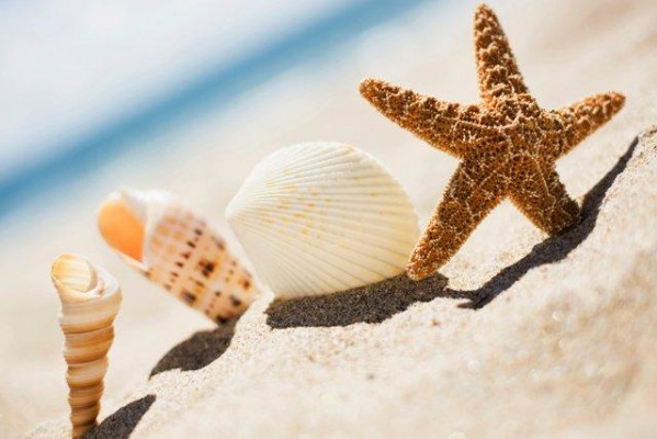 Επιμένει…καλοκαίρι