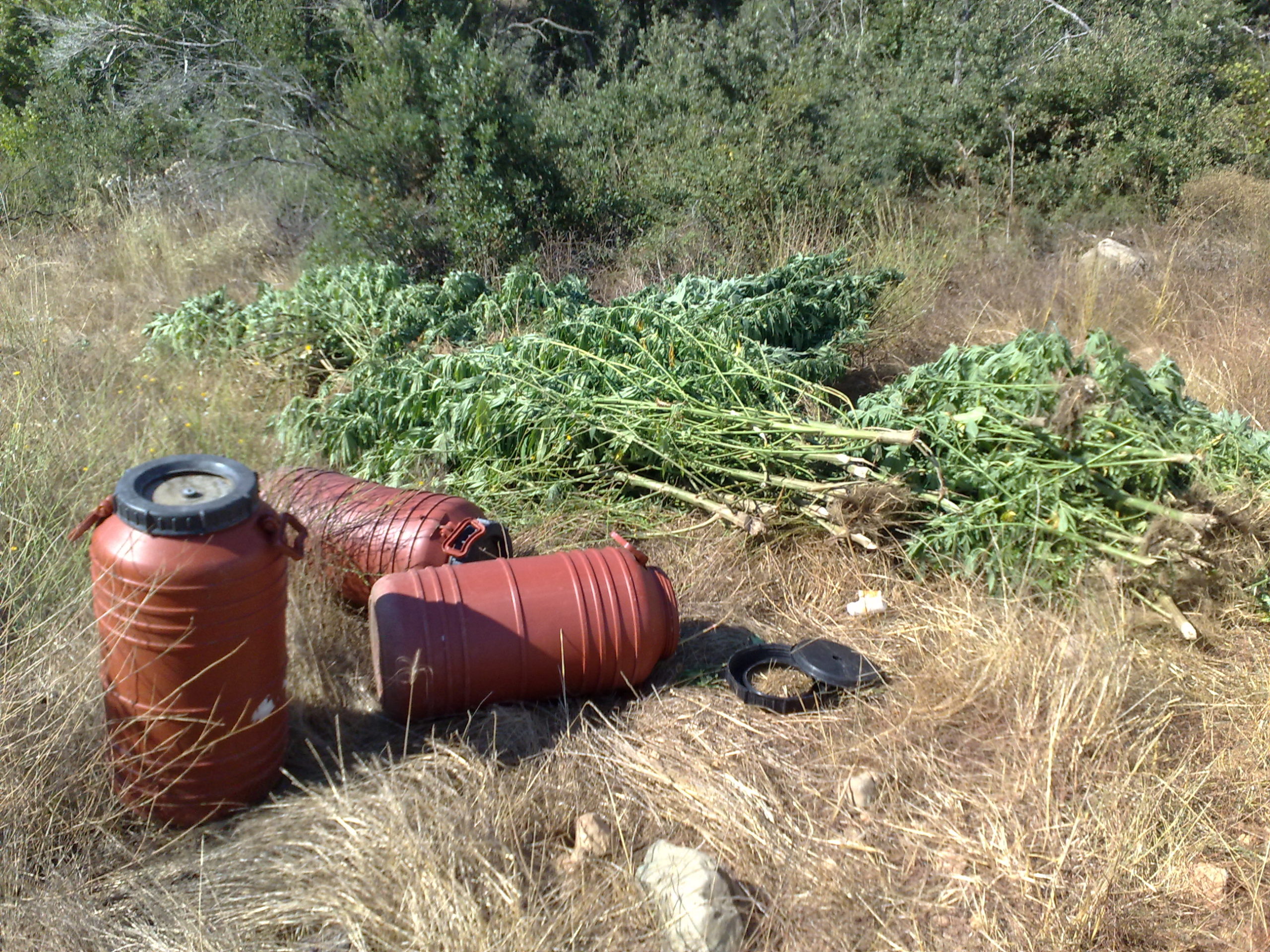 Συνελήφθη για εμπόριο ναρκωτικών