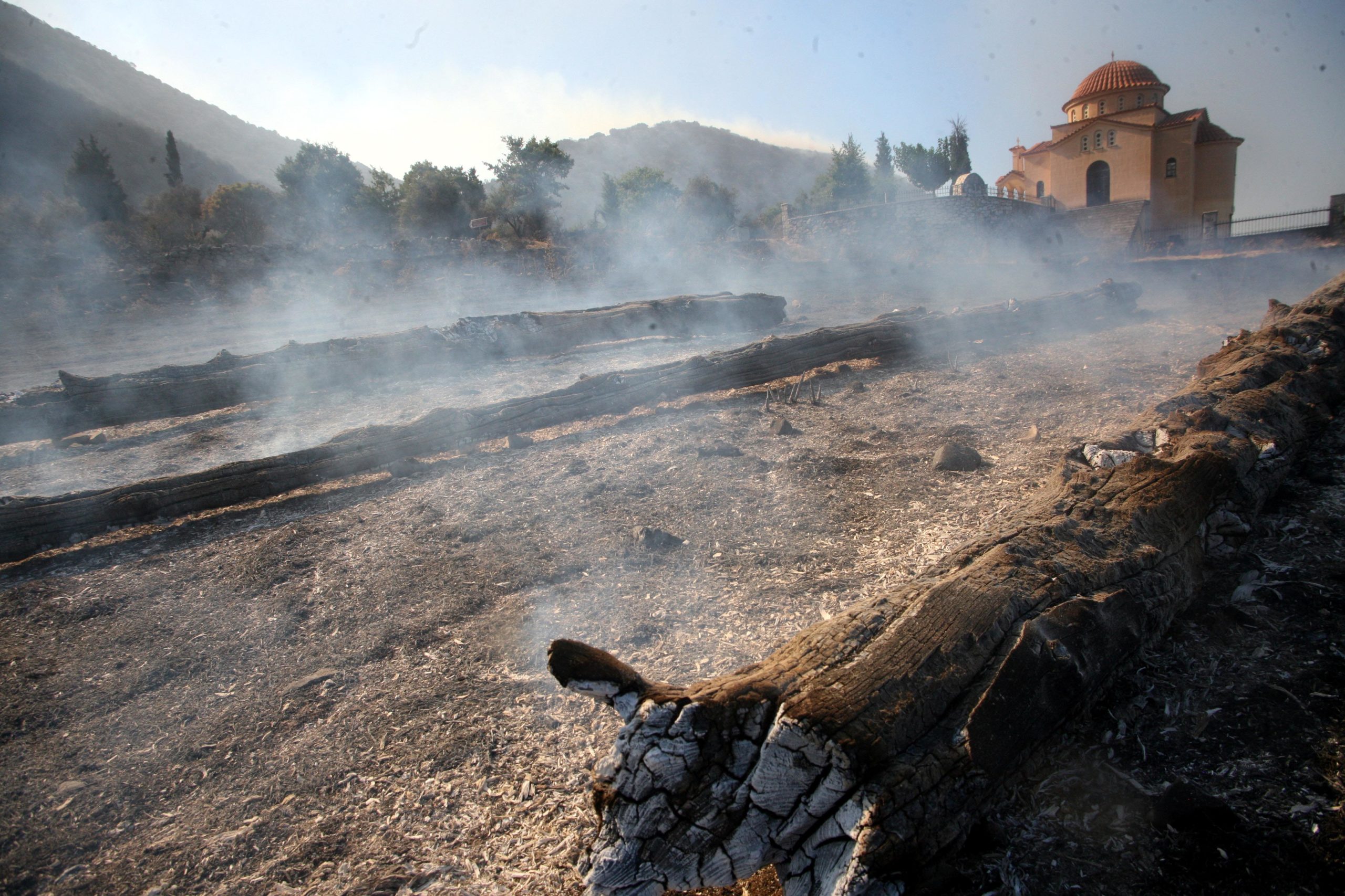Στάχτη 32.000 στρέμματα