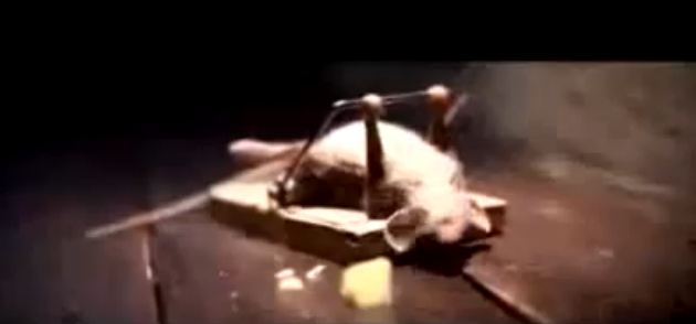 Ρόκι mouse Μπαλμπόα