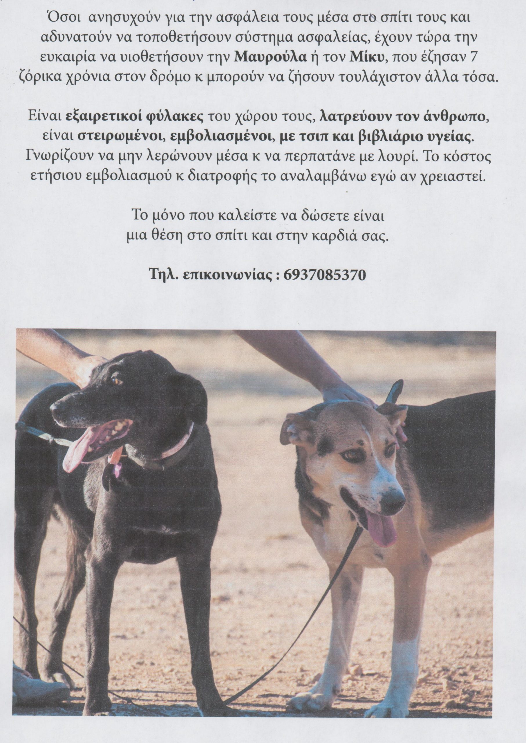 Υιοθετήστε την Μαρούλα και τον Μίκυ