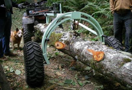 Σταματούν τα παράνομα πριόνια