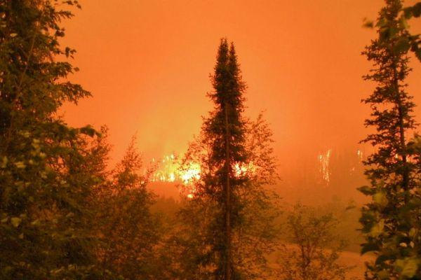 3.790 πυρκαγιές είχαμε το καλοκαίρι