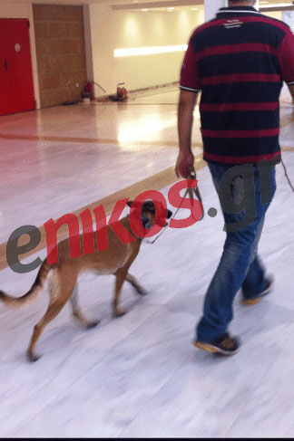 Τώρα – K9 στο Βελλίδιο πριν την ομιλία του Τσίπρα