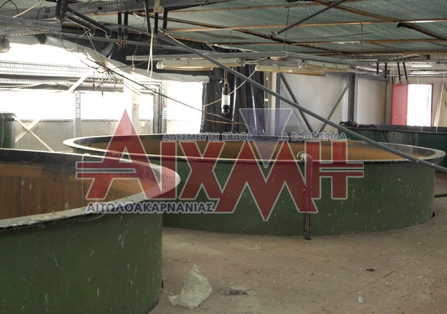 Το εγκατέλειψαν