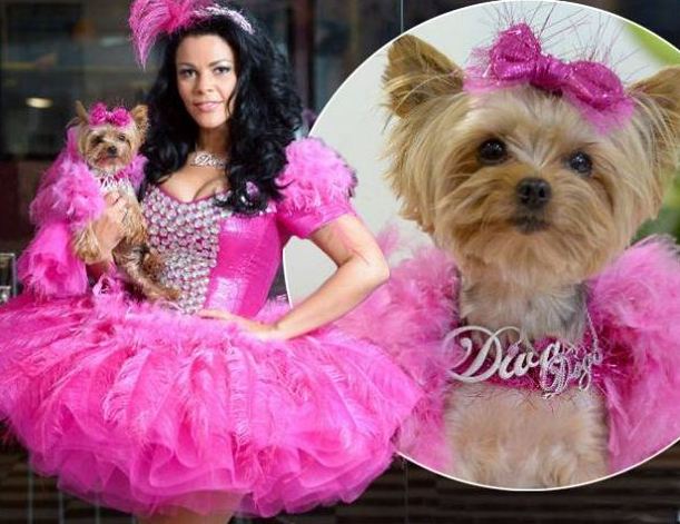 25.000 δολ. για κολιέ σκύλου!