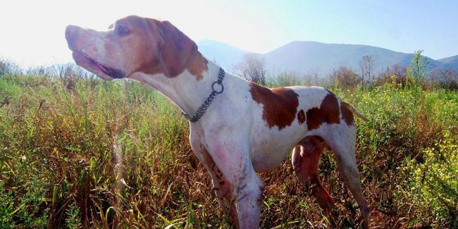 Σοκ από μαζική δηλητηρίαση