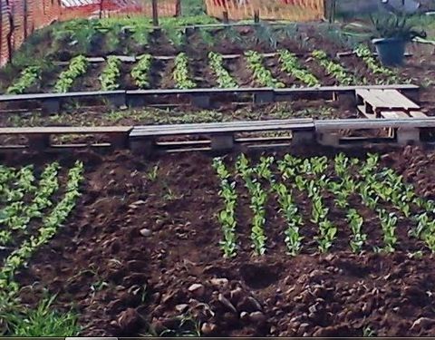 Φονική έκρηξη σε περιβόλι