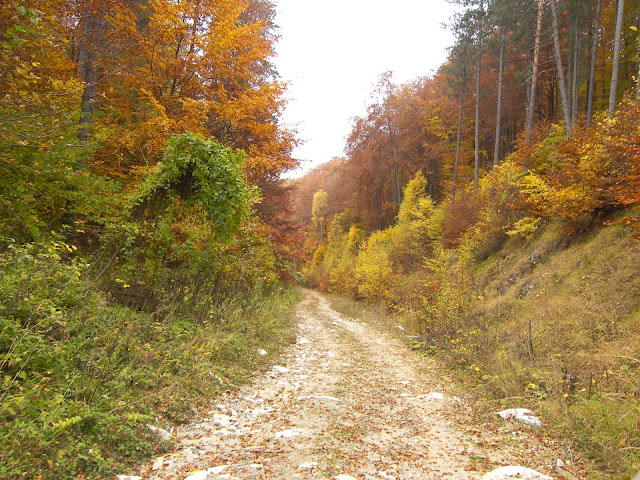 Μυστηριώδες έγκλημα