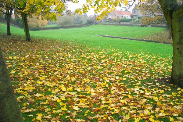 Έρχεται Φθινόπωρο