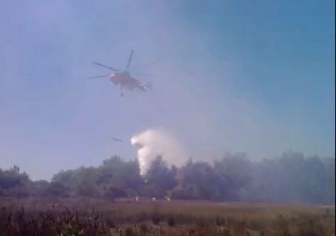 Τώρα-Υπό έλεγχο η φωτιά στην Ηλεία