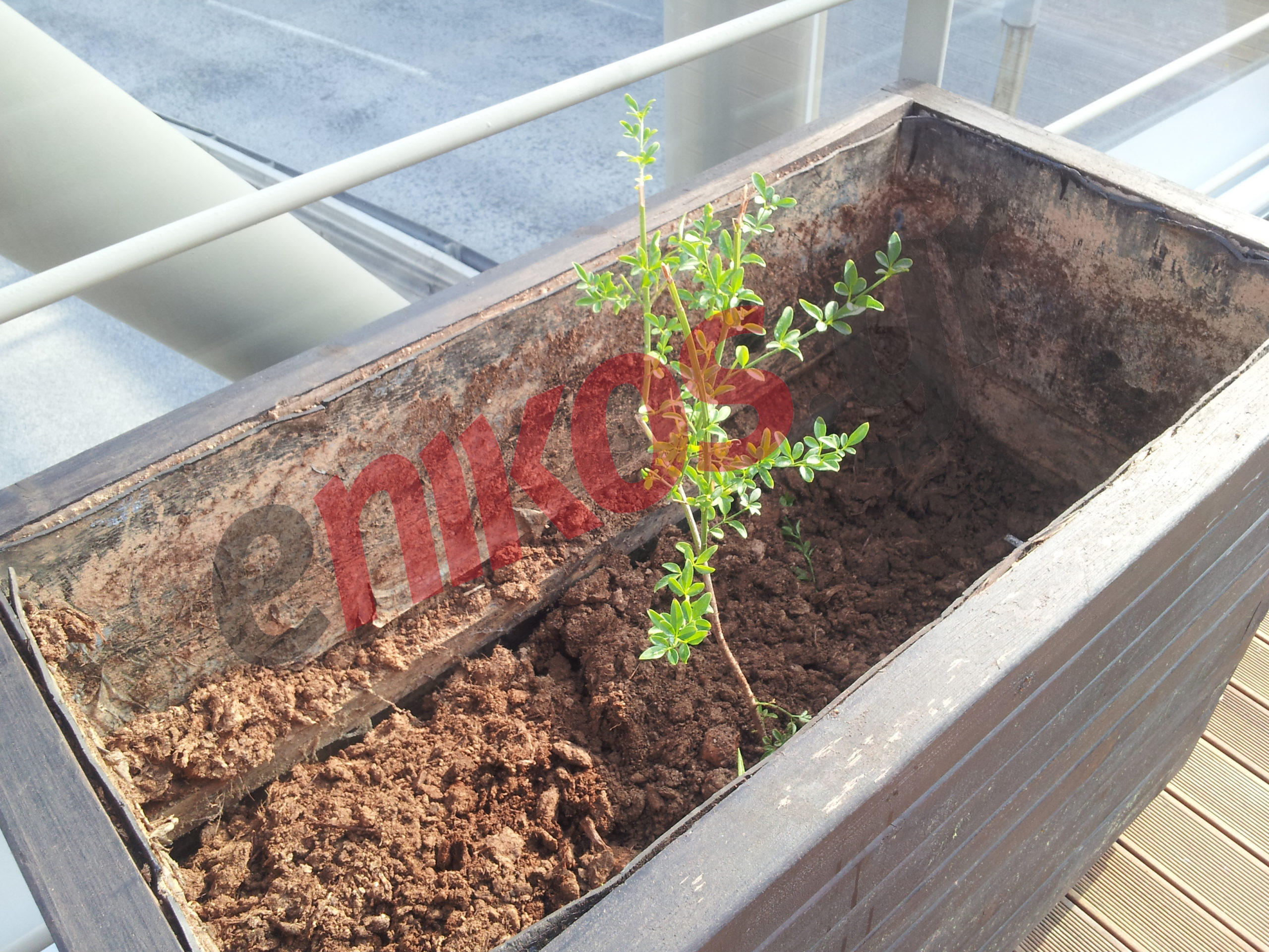 Κλέβουν και χώμα