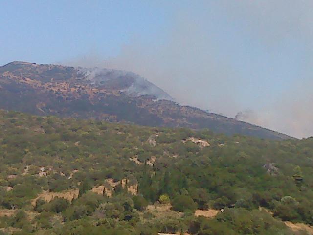 Ελέγχεται φωτιά στην Ξάνθη