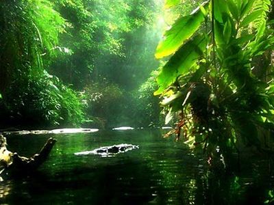 Ελεύθερες οι τουρίστριες