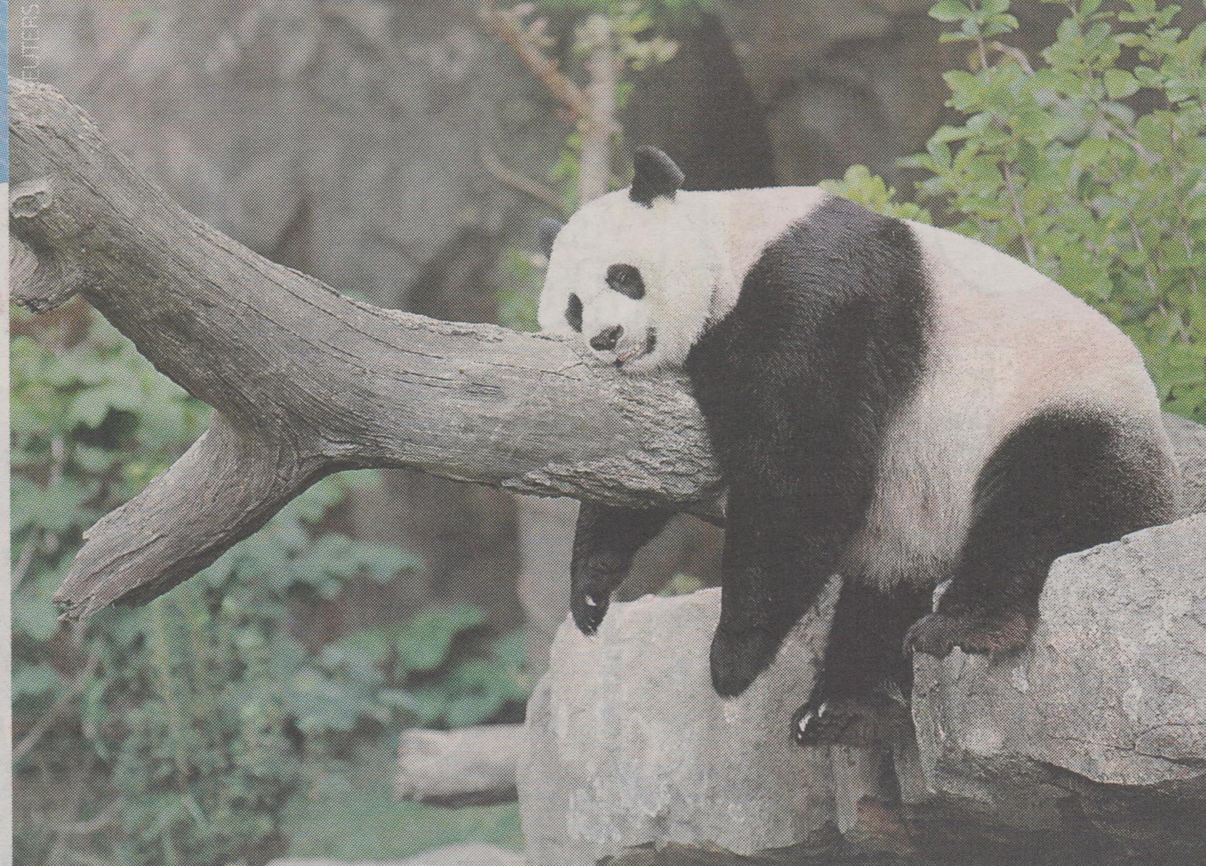 Τα πάντα… όλα