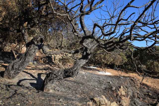 Χρηματοδότηση 7εκατ. ευρώ στη Χίο