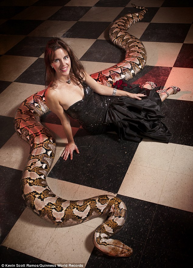 Πύθωνας για Γκίνες!