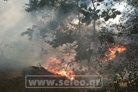 Καταγγέλλουν την αστυνομία οι διαδηλωτές