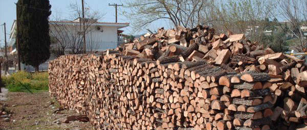 Δωρεάν καυσόξυλα στους πολίτες