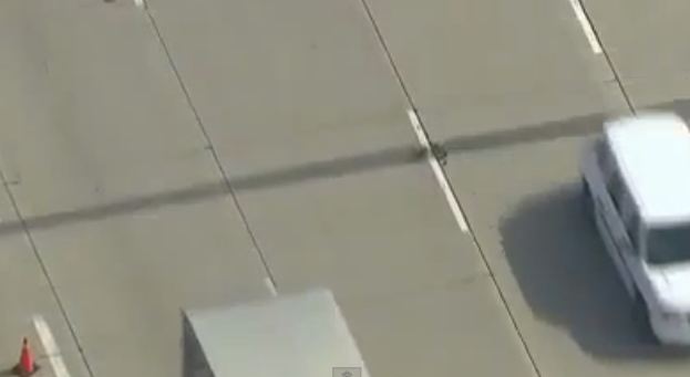 Τα παπάκια στη σειρά, σε λεωφόρο!