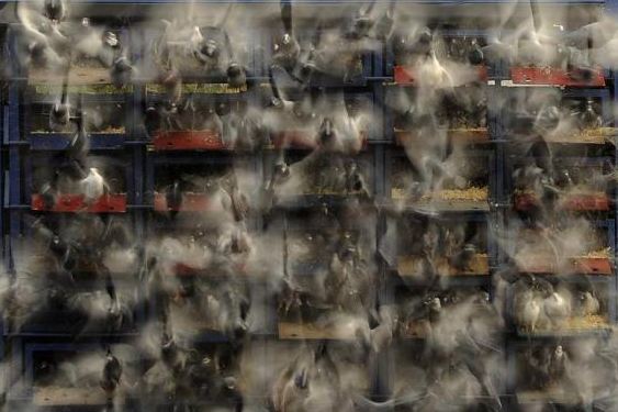 Οι φωτογραφίες της εβδομάδας