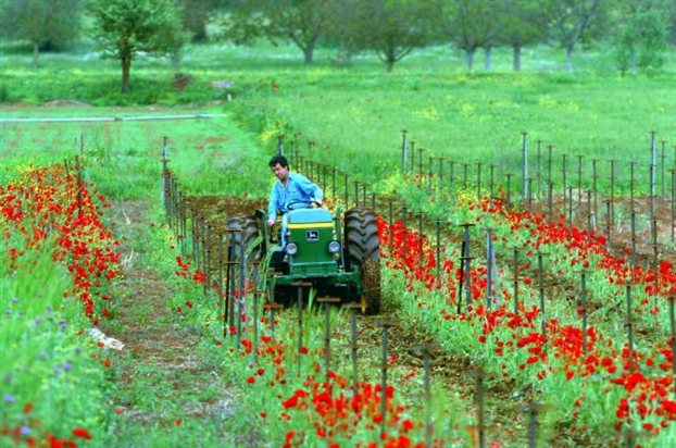 Την Τρίτη αποζημιώνει ο ΕΛ.ΓΑ