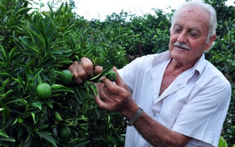 Ζημιές από το χαλάζι στο Ναύπλιο
