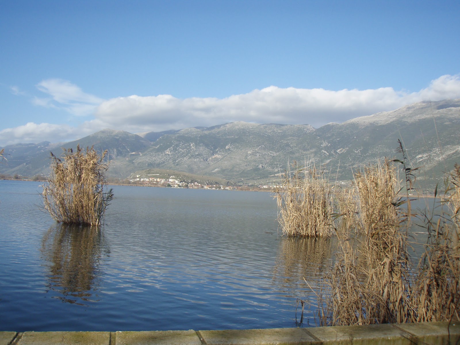 Τώρα-Αυτοκτονία στη λίμνη Ιωαννίνων