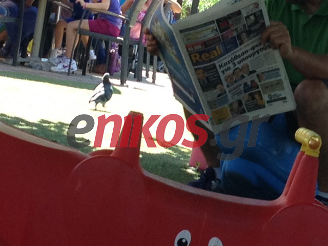 Με τη Real News στον παιδότοπο!