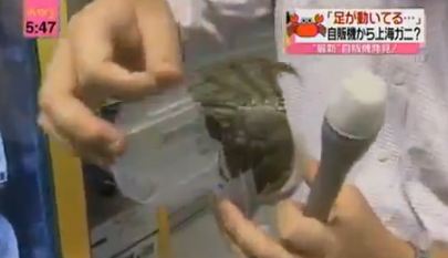 Ζωντανά καβούρια σε κουτί